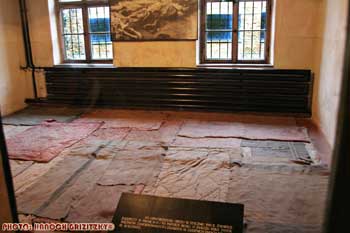 IMG_ (11739)
